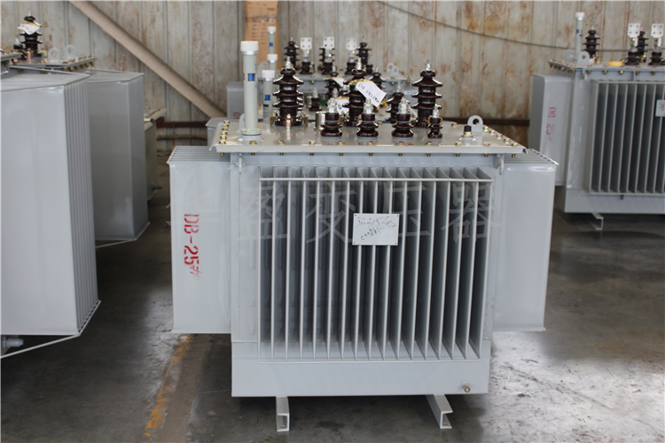 贵阳S20-800kVA/10kV/0.4kV变压器